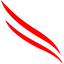 Crowdstrike Holdings Inc