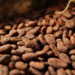 Pret cacao astazi in timp real, dar afla si cum sa investesti in cacao la bursa sau sa tranzactionezi cacao.